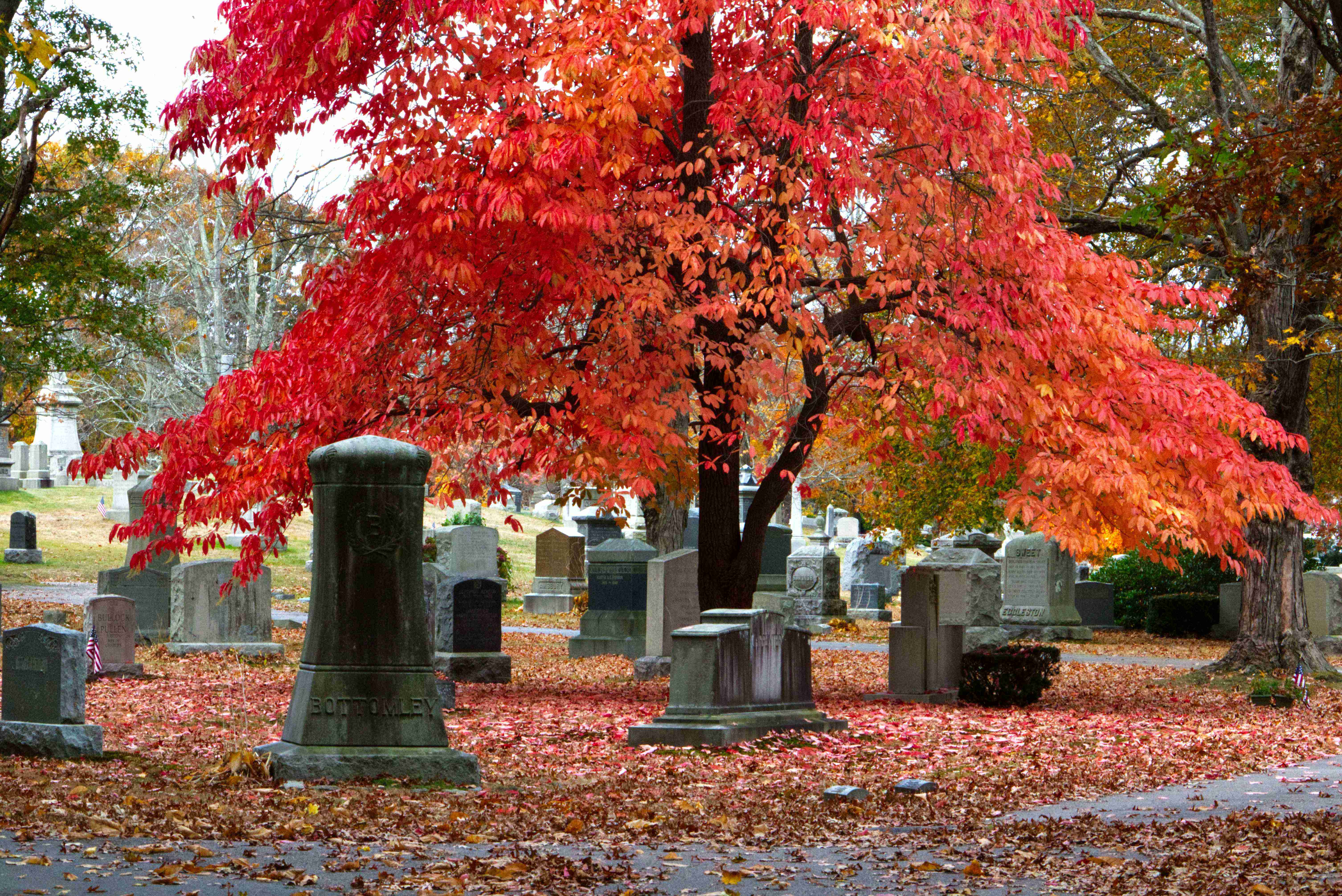 Woodlawn North Purchase Cemetery