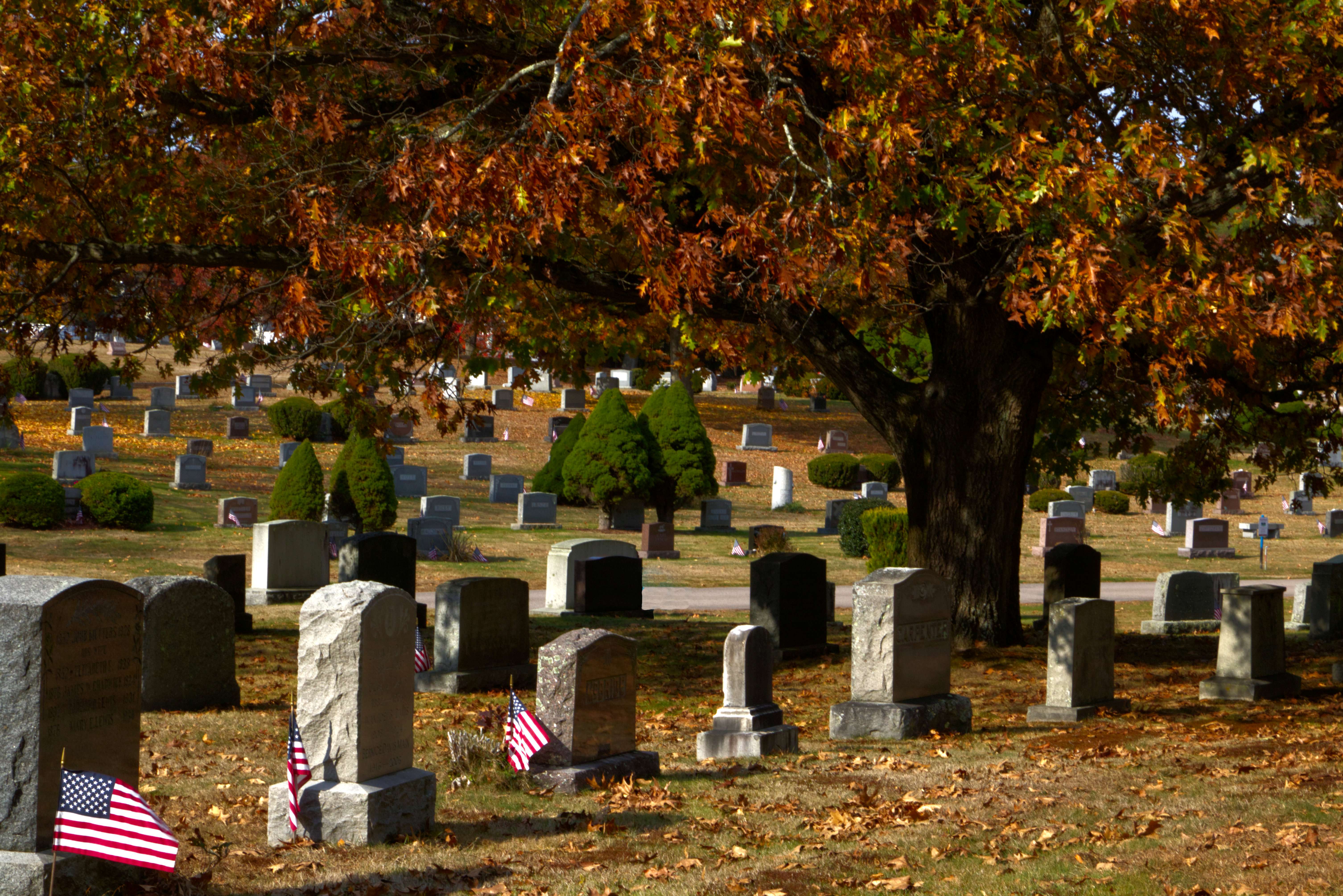 Woodlawn North Purchase Cemetery