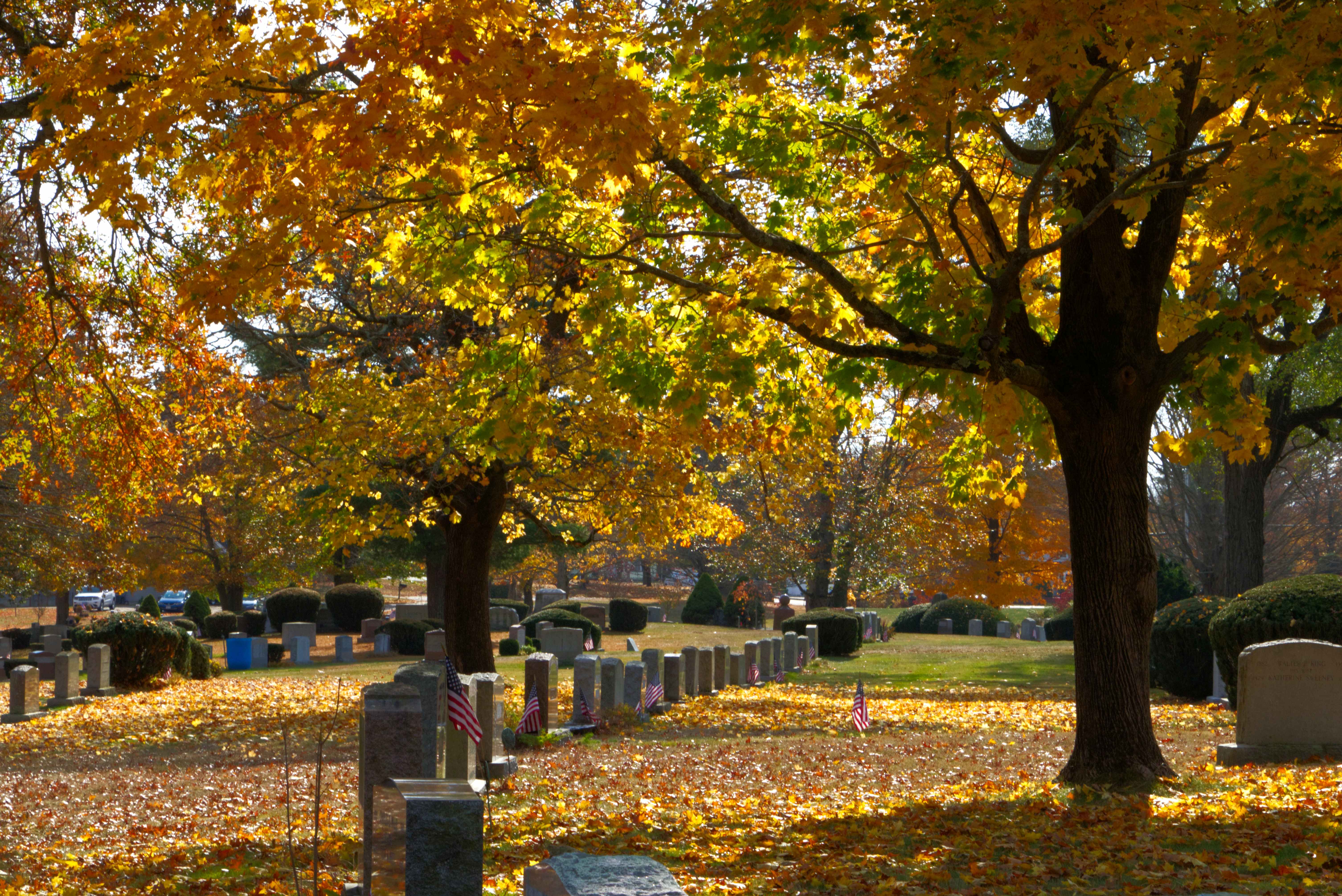 Woodlawn North Purchase Cemetery